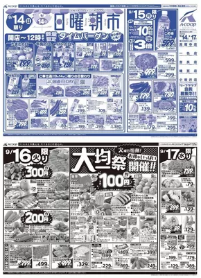 エーコープ近畿のカタログ | すべての掘り出し物ハンターのためのトップオファー | 2025-09-14T00:00:00.000Z - 2025-09-17T00:00:00.000Z
