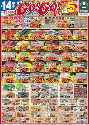 札幌市でのホクレンショップのカタログ | すべての人のための魅力的な特別オファー | 2025-09-14T00:00:00.000Z - 2025-09-28T00:00:00.000Z