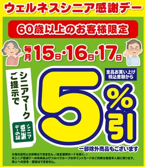 大田市でのウェルネスのカタログ | 9/15~17 ウェルネス シニア感謝デー5%引 | 2025-09-14T00:00:00.000Z - 2025-09-17T00:00:00.000Z