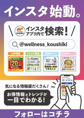 大田市でのウェルネスのカタログ | ウェルネス インスタ始動 | 2025-06-30T00:00:00.000Z - 2026-06-30T00:00:00.000Z