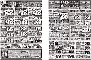 ビッグヨーサン チラシ