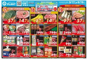 スーパーセンタープラント チラシ