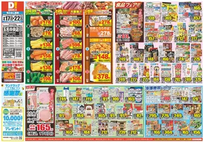 大牟田市でのダイレックスのカタログ | 私たちのお客様のための排他的な取引 | 2025-09-17T00:00:00.000Z - 2025-09-22T00:00:00.000Z