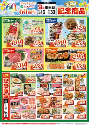 私たちの最高の掘り出し物