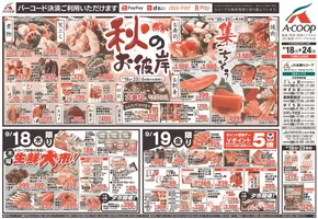 札幌市でのAコープ東北のカタログ | すべての人のための魅力的な特別オファー | 2025-09-18T00:00:00.000Z - 2025-09-24T00:00:00.000Z