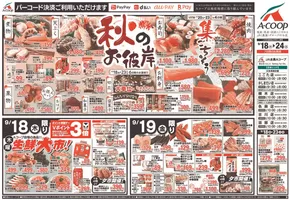 現在の特別プロモーション