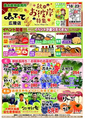 柏原市での産直市場よってってのカタログ | 掘り出し物ハンターのためのオファー | 2025-09-18T00:00:00.000Z - 2025-10-02T00:00:00.000Z