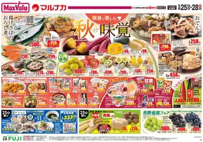 東温市でのマルナカのカタログ | 魅力的なオファーを発見する | 2025-09-25T00:00:00.000Z - 2025-09-28T00:00:00.000Z