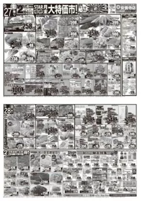 スターのカタログ | 割引とプロモーション | 2025-09-27T00:00:00.000Z - 2025-09-29T00:00:00.000Z
