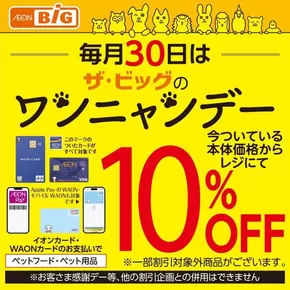 熊本市でのザ・ビッグのカタログ | すべてのお客様のためのトップディール | 2025-09-30T00:00:00.000Z - 2025-10-14T00:00:00.000Z