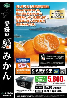 ランドロームのカタログ | 現在の掘り出し物とオファー | 2025-10-01T00:00:00.000Z - 2025-11-25T00:00:00.000Z