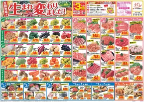 クスリのアオキのカタログ | すべての掘り出し物ハンターのためのトップオファー | 2025-10-01T00:00:00.000Z - 2025-10-15T00:00:00.000Z