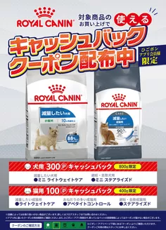 大阪市でのひごペットフレンドリーのカタログ | ひごペットフレンドリー チラシ | 2025-10-03T00:00:00.000Z - 2025-12-31T00:00:00.000Z