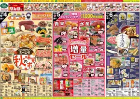 ランドロームのカタログ | ランドローム チラシ | 2025-10-04T00:00:00.000Z - 2025-10-09T00:00:00.000Z