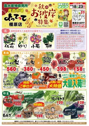 横浜市での産直市場よってってのカタログ | 発見するための新しいオファー | 2025-10-04T00:00:00.000Z - 2025-10-18T00:00:00.000Z