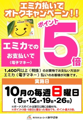 宇都宮市でのエーコープみやざきのカタログ | 現在の特別プロモーション | 2025-10-05T00:00:00.000Z - 2025-10-26T00:00:00.000Z