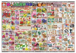 松山市でのハンズマンのカタログ | 排他的な掘り出し物 | 2025-10-06T00:00:00.000Z - 2025-10-13T00:00:00.000Z