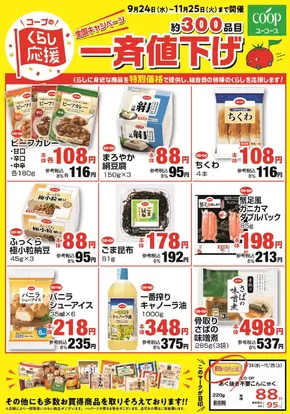 フィール チラシ