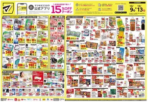 渋谷区でのマツモトキヨシのカタログ | 選ばれた製品の素晴らしい割引 | 2025-10-09T00:00:00.000Z - 2025-10-13T00:00:00.000Z