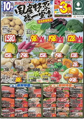 札幌市でのホクレンショップのカタログ | 排他的な取引と掘り出し物 | 2025-10-11T00:00:00.000Z - 2025-10-25T00:00:00.000Z
