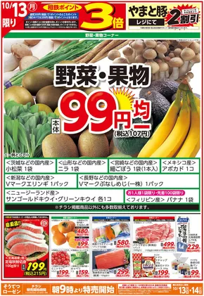 柏市での相鉄ローゼンのカタログ | 私たちの最高の掘り出し物 | 2025-10-12T00:00:00.000Z - 2025-10-14T00:00:00.000Z