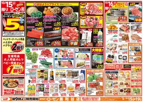 相鉄ローゼンのカタログ | 現在の掘り出し物とオファー | 2025-10-14T00:00:00.000Z - 2025-10-19T00:00:00.000Z