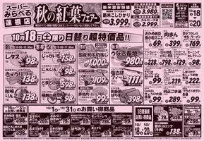 スーパーみらべるのカタログ | スーパーみらべる チラシ | 2025-10-17T00:00:00.000Z - 2025-10-31T00:00:00.000Z