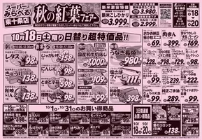 スーパーみらべるのカタログ | 選ばれた製品の素晴らしい割引 | 2025-10-17T00:00:00.000Z - 2025-10-31T00:00:00.000Z