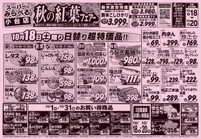 スーパーみらべるのカタログ | すべてのお客様のためのトップディール | 2025-10-17T00:00:00.000Z - 2025-10-31T00:00:00.000Z