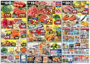 新発田市でのウオロクのカタログ | 発見するための新しいオファー | 2025-10-18T00:00:00.000Z - 2025-11-01T00:00:00.000Z