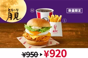 ケンタッキーフライドチキン チラシ