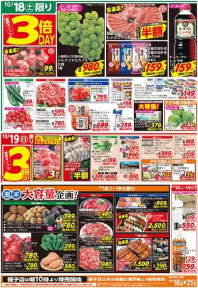 相鉄ローゼン チラシ