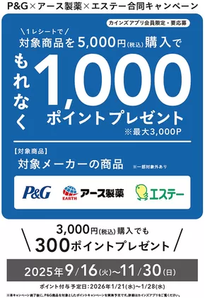 奥出雲町でのカインズホームのカタログ | P&G×アース製薬×エステー合同キャンヘ？ーン | 2025-10-18T00:00:00.000Z - 2025-11-01T00:00:00.000Z