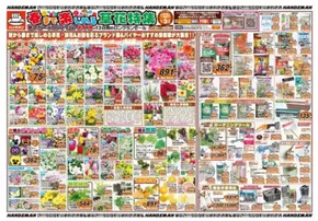 鹿児島市でのハンズマンのカタログ | 春まで楽しめる草花特集 秋のガーデニングフェア第4弾 | 2025-10-21T00:00:00.000Z - 2025-11-03T00:00:00.000Z