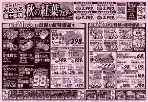 スーパーみらべるのカタログ | 排他的な取引と掘り出し物 | 2025-10-22T00:00:00.000Z - 2025-11-05T00:00:00.000Z