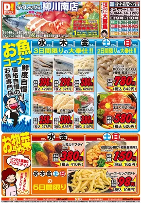 神埼市でのダイレックスのカタログ | 排他的な掘り出し物 | 2025-10-22T00:00:00.000Z - 2025-11-05T00:00:00.000Z