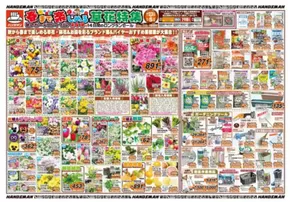 ハンズマンのカタログ | 排他的な取引と掘り出し物 | 2025-10-22T00:00:00.000Z - 2025-10-31T00:00:00.000Z