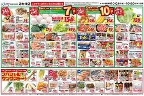 タストヴァンのカタログ | 10/24~10/30セール | 2025-10-24T00:00:00.000Z - 2025-11-07T00:00:00.000Z