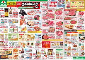 千代田区での三徳のカタログ | CGCエキサイティングセール | 2025-10-24T00:00:00.000Z - 2025-10-28T00:00:00.000Z