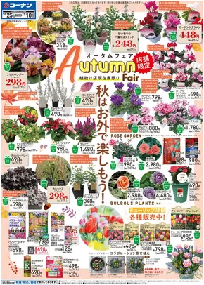 千葉市でのコーナンのカタログ | 掘り出し物ハンターのための素晴らしいオファー | 2025-10-24T00:00:00.000Z - 2025-11-10T00:00:00.000Z