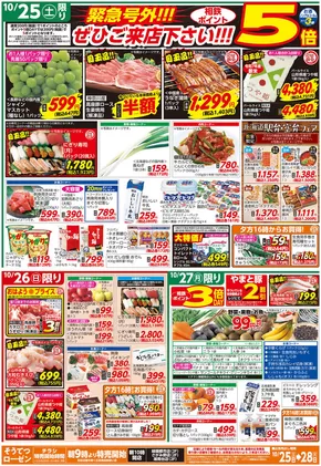 横浜市での相鉄ローゼンのカタログ | 排他的な取引と掘り出し物 | 2025-10-24T00:00:00.000Z - 2025-10-28T00:00:00.000Z