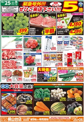 海老名市での相鉄ローゼンのカタログ | あなたのための特別オファー | 2025-10-24T00:00:00.000Z - 2025-10-28T00:00:00.000Z