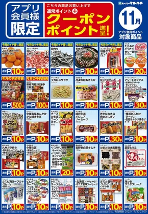 広島市でのマルハチのカタログ | 11月アプリクーポン対象商品 | 2025-10-27T00:00:00.000Z - 2025-11-30T00:00:00.000Z