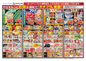 郡山市でのヨークベニマルのカタログ | 掘り出し物ハンターのための素晴らしいオファー | 2025-10-28T00:00:00.000Z - 2025-10-31T00:00:00.000Z