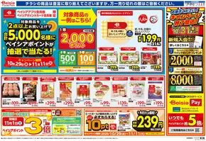 ベイシアのカタログ | トップディールと割引 | 2025-10-29T00:00:00.000Z - 2025-11-04T00:00:00.000Z