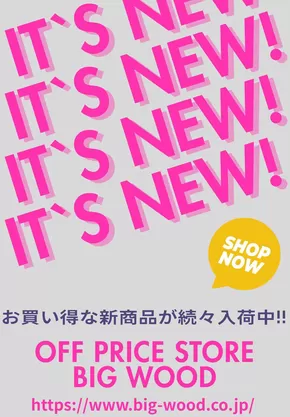 ビッグウッドのカタログ | 私たちのお客様のための排他的な取引 | 2025-10-28T00:00:00.000Z - 2025-10-30T00:00:00.000Z