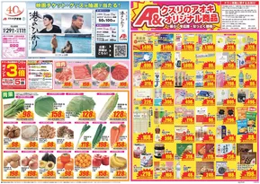 上田市でのクスリのアオキのカタログ | 排他的な掘り出し物 | 2025-10-29T00:00:00.000Z - 2025-11-12T00:00:00.000Z