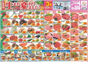 あわら市でのクスリのアオキのカタログ | 排他的な取引と掘り出し物 | 2025-10-29T00:00:00.000Z - 2025-11-12T00:00:00.000Z