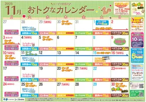 さぬき市でのコープかがわのカタログ | コープかがわ チラシ | 2025-10-30T00:00:00.000Z - 2025-11-13T00:00:00.000Z