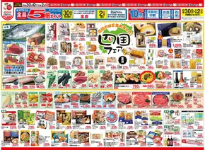 大阪市でのハーベスのカタログ | 10/30号　四国フェア | 2025-10-29T00:00:00.000Z - 2025-11-02T00:00:00.000Z